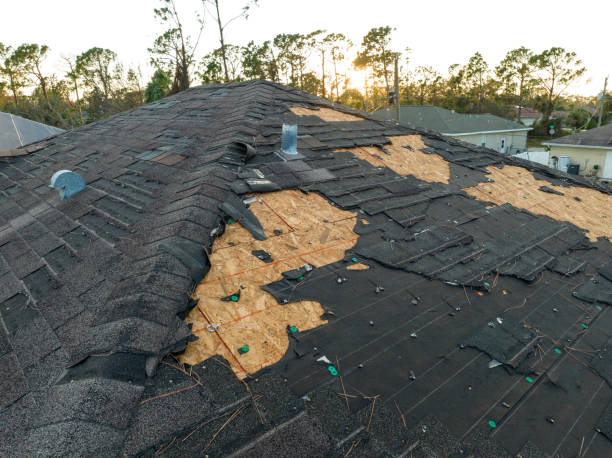 Best Storm Damage Roof Repair  in Waterville, OH